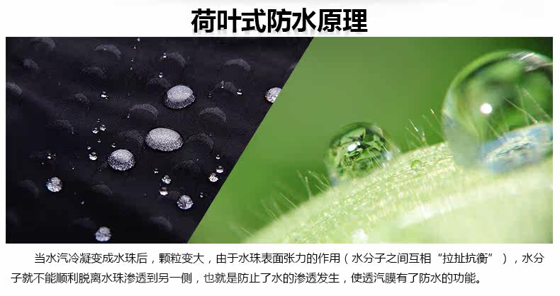 Maillot de bain homme - Ref 2507512 Image 11