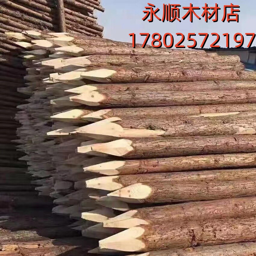 金盛木场的LOGO