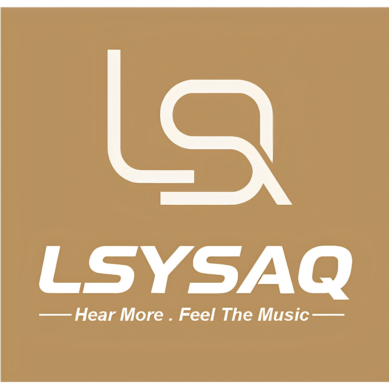 LSYSAQ靓声音响店