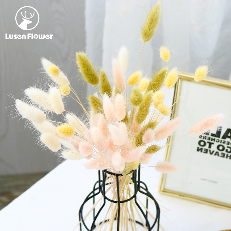 Imported Japanese Dadi Farm Rabbit Tail Grass 42050 Multi-Color Sage Dog Tail Grass Decorative DIY Bouquet Materials