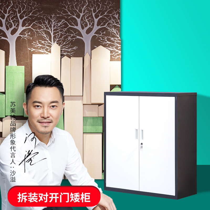 New product Dismantling Short Cabinet Office Furniture Archives Information Cabinet Voucher With Lock Cabinet Steel Sheet Metal Storage Folio Bookcase