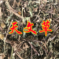 Wild Golden Button Mountain Astronomy Grass Umbrella Grass Yellow Flower Bitter Grass Guangxi Dry Goods 500 gr