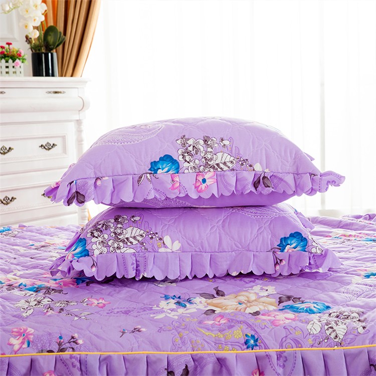 Thư mục dày bông gối cạnh sinh viên Hàn Quốc đơn gối cộng với bông gối bao gồm một cặp 48x74 cm mùa thu - Gối trường hợp gối lông vũ