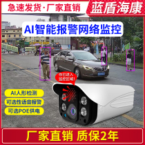 Haikang 5 million humanoid detection voice alarm alert camera AI monitoring POE network camera