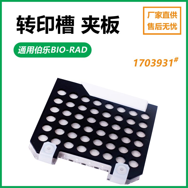伯乐bio-rad电泳配件天能转膜夹转印三明治转移夹1703931电转夹