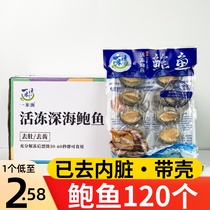 Live frozen abalone cleaned of dirt and teeth freshly frozen and ready to use hotel banquet New Years Eve dinner seafood steamed abalone for commercial use
