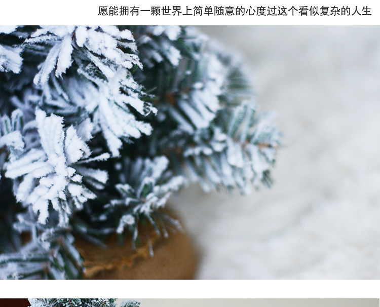 小圣诞树_03.jpg