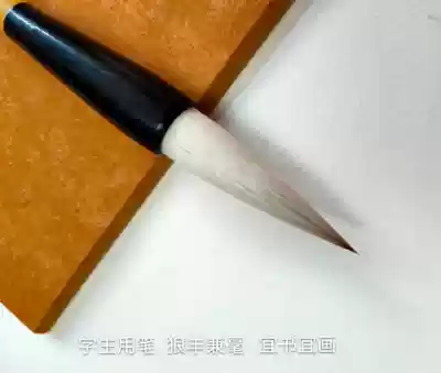 Xinli Pengzhuang boutique and Zhao Ti Yan Ti Yan Ti Yi Shu Yi Yi Shu Yi Painting Training Class Student Pen