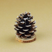 Бизнес белого сосны