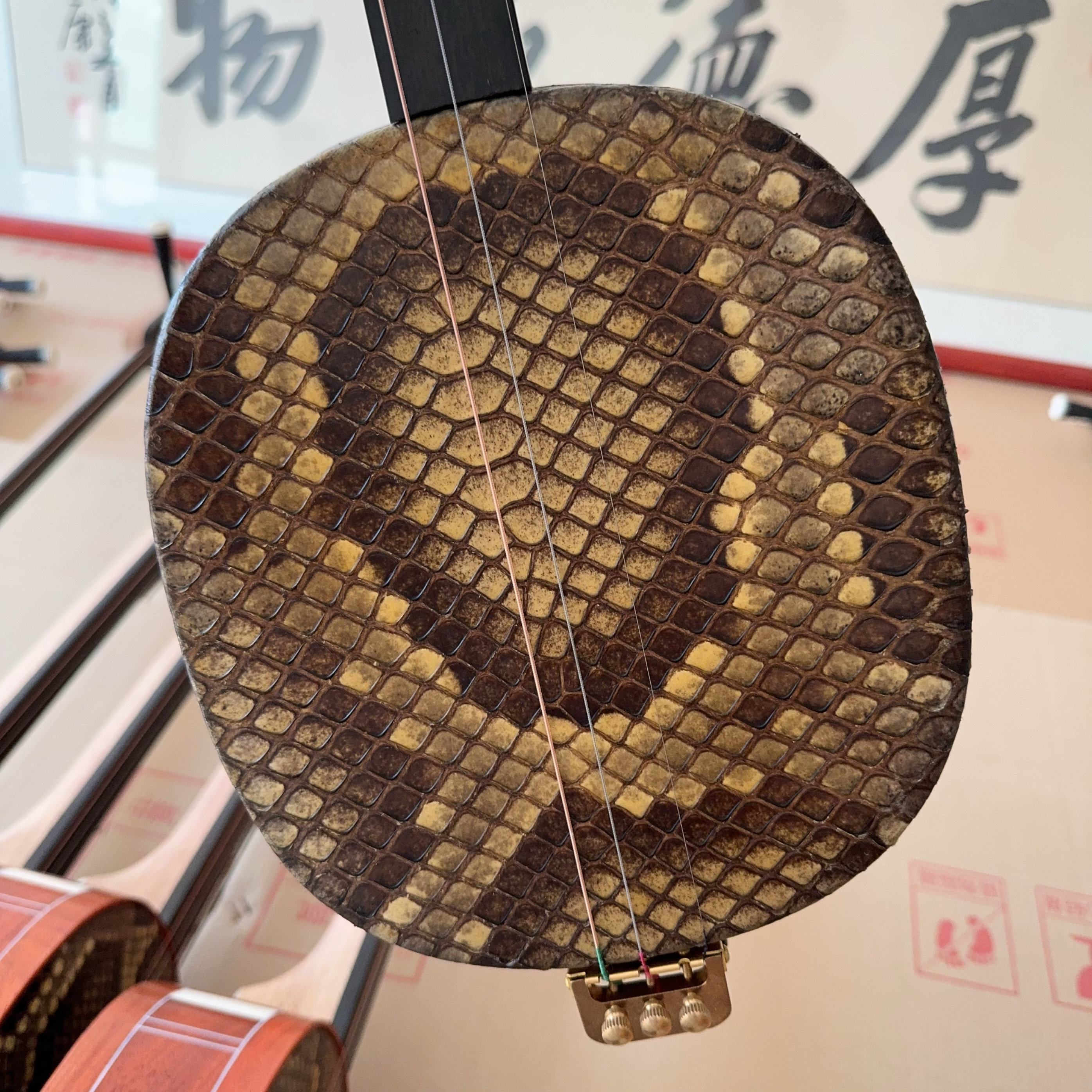 黑檀木白牛角的大三弦有何特点?适合哪些曲艺表演?-三弦-淘宝好物网