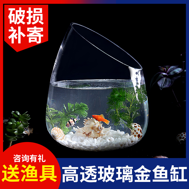 Round glass hydroponic plant vase transparent oblique mouth fish tank oblique mouth gold ge hydroponic flower pot hydroponic utensils aquarium
