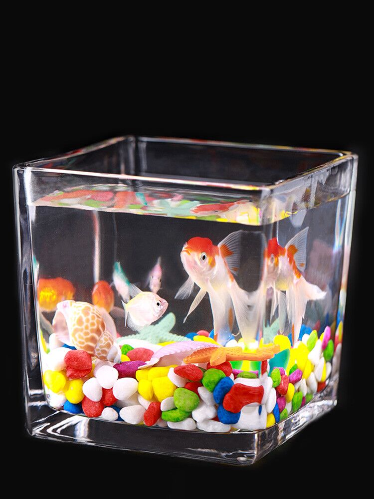 Square glass fish tank Ultra white thickened mini creative small fish tank Office desktop hydroponic plant vase