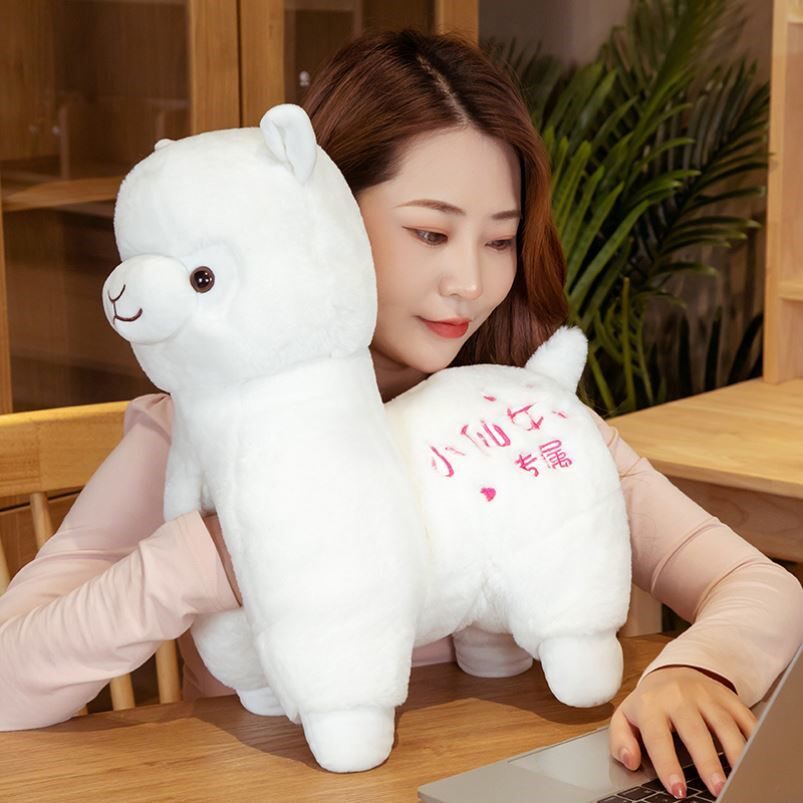 Hot water bag cover hand warmer pillow can put hot water bag doll protective cover rechargeable detachable small power dormitory