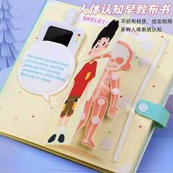 Cross-Border English Version of the Human Body Structure Cognition Quiet Book, Non-Woven Fabric Book, Educational Early Learning Body Knowledge Busy Board