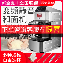 New Jinmai 30 stainless steel double-action double-speed dough machine commercial dough mixer kneading dough noodle chef copper wire