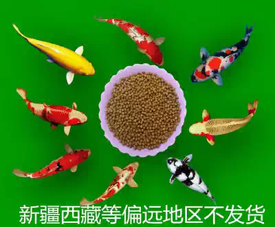 High-quality Tongwei 153 koi fish feed ornamental fish goldfish fish food fish food disease-resistant and color-enhancing non-muddy water floating material