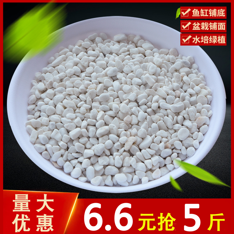 Pebble Stones Small Stones Rain Flowers Stones White Pebble White Stones White Stones Flower Pots Potted Multimeat Decoration Paving