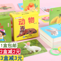  Preschool infants and young childrens literacy card 0-3-6 years old baby early education card Look at the picture to recognize Chinese characters pinyin card