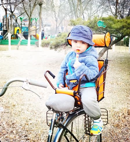 siège enfants pour vélo - Ref 2414172 Image 43