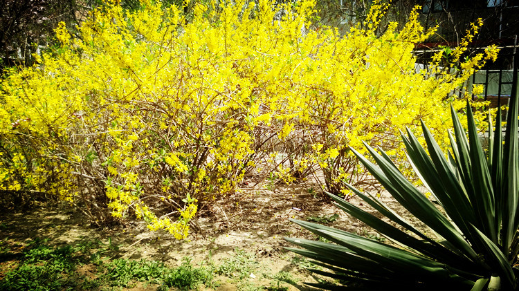 Panier pour vélo en métal - Ref 2255725 Image 23