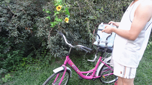 siège enfants pour vélo - Ref 2425834 Image 7