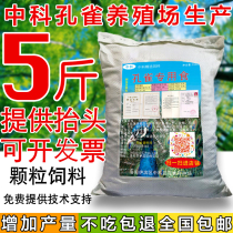 Blue peacock farm real formula never faint peacock feed particles Peacock wren feed food is not easy to produce