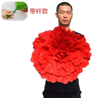 Чай улун Да Хун Пао, 60см