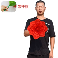 Чай улун Да Хун Пао, 30см