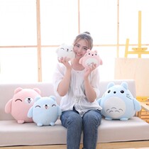 Totoro holding pillow sleeping special girl girl heart decompression toy girl office cute cartoon doll