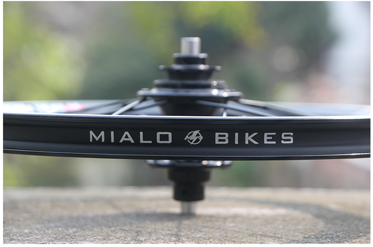 Roues de vélo MIALO 14 pouces - Ref 2363445 Image 31
