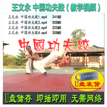 Wang Wenyong China Kung Fu Kung Fu Wrestling U Disc Video Trilogy Techniques Techniques to explain the application of teaching wrestling techniques