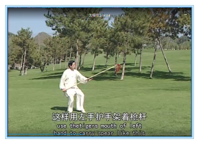 陈正雷大师亲授!陈式太极枪71式教学U盘视频,让你在家也能成为太极高手!-更多太极配件-淘宝好物网