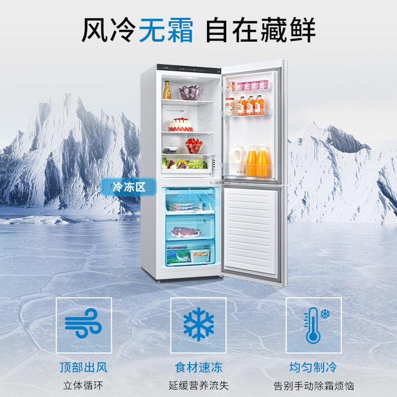 博世BCD-279W(KGN33V129C)冰箱图片