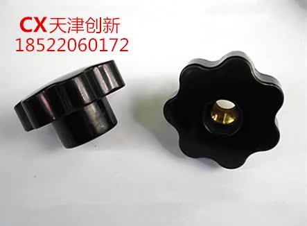 Star SCREW COPPER CORE THROUGH HOLE STARS Screw Gum Wood Handle Plum screw M12 * 50