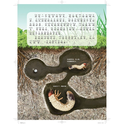 Научно-популярная энциклопедия для друга для раннего возраста для школьников, познавательная книга с картинками, материалы для чтения, полный комплект, подходит для подростков, наука, обучение