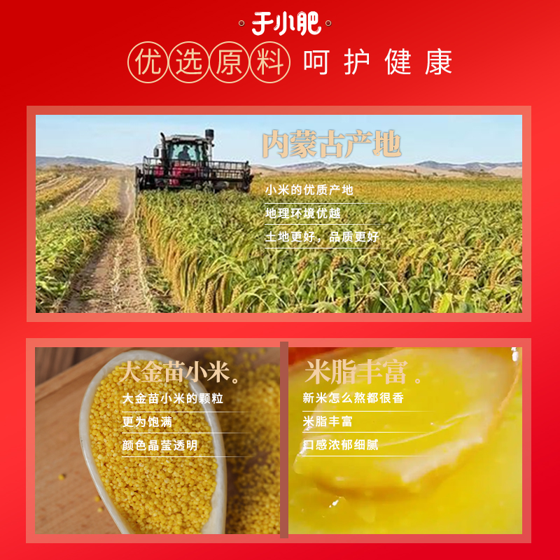 兴县黄小米：来自黄土地的营养珍品