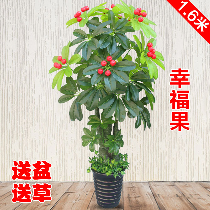 Simulation Plant Potted Room Furnishing Green Planting Hair Treasure tree Bonsai Living room swinging piece floor furnishing plastic fake flowers