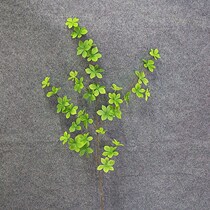 Nordic simulation green plant Japanese bell plant single horse drunken wood branch living room desktop decoration high branch