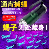Photo capture of scorpion special lamp led super bright bright light purple light lamp charging dual light source hand new scorpion lamp