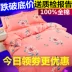 100% cotton chải bốn mảnh dày ngủ trần bộ đồ giường cotton nhà dệt chăn bao gồm tờ mùa thu và mùa đông - Bộ đồ giường bốn mảnh