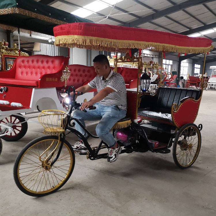 Custom Carriage Attractions Leisure Sightseeing Pedicab Country Customs Three Rickshaw Rickshaw TV Props Tourist Sightseeing Tours