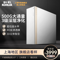 Kohler water purifier reverse osmosis household tap water purifier kitchen filter household direct drink water purifier 80021