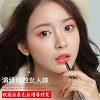 Sơn môi Artifact lip liner 12 màu bộ bút chì môi Người mới bắt đầu vẽ môi bút chì - Bút chì môi / môi lót son bút chì