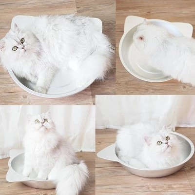 Summer by cool cat cohorts cool in summer by cool cat-pan ice cold cat covets cool dogs and dogs cold and nest pet supplies 