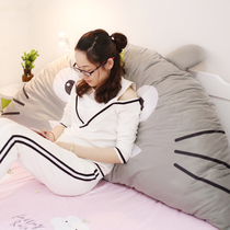 Net red ins pillow pillow headboard soft bag big back cushion boyfriend plush bed pillow woman