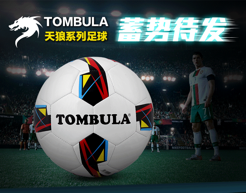 Ballon de football - Ref 7074 Image 6