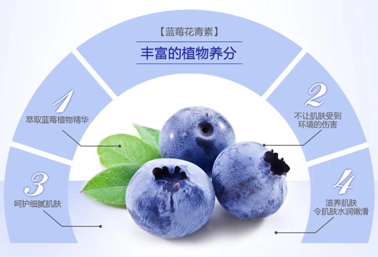 1 / 20g Blueberry Alum Eye Cream Eye Care Moisturising Moisturising Làm dịu mắt