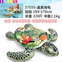 Гора Черепаха (57555