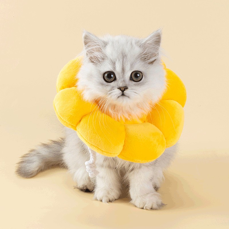 Cat collar Elizabeth collar dog anti-licking soft headgear Eli Elizabeth shame collar sterilization supplies