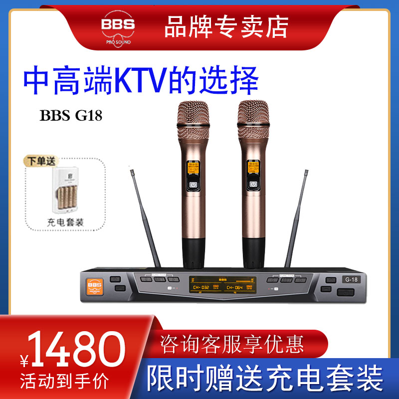 BBS G18 wireless microphone one for two professional teaching dedicated performance microphone stage host family KTV